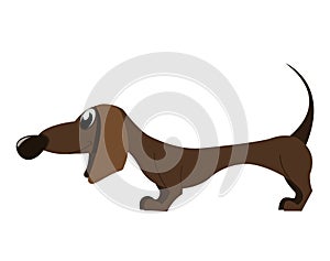 Cartoon dachshund, cheerful