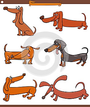 Cartoon dachshunds purebred dogs animal characters set