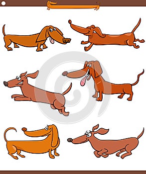 Cartoon dachshunds purebred dogs animal characters set