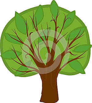 Cartoon deciduous tree. Isolated