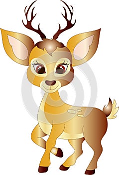 Cartoon Deer