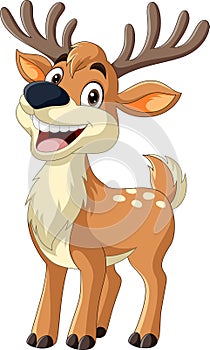 Cartoon deer on white background