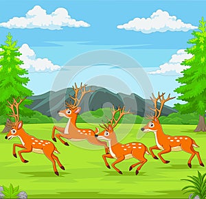 Cartoon deers running in the forest
