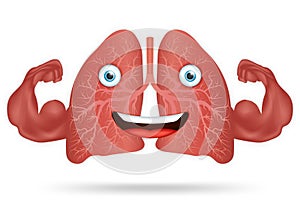 Cartoon design of Strong healthy human lungs and powerful cardiovascular with muscle biceps isolated on white background as