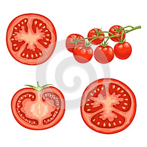 Cartoon different types tomatoes set. Red ripe vegetables isolated on white background. Slices, half tomato and cherry tomatoes on