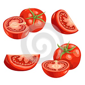 Cartoon different types tomatoes set. Red ripe vegetables isolated on white background. Slices, tomato compositions and tomato qua