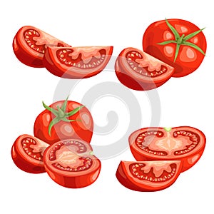 Cartoon different types tomatoes set. Red ripe vegetables isolated on white background. Slices, tomato compositions and tomato qua