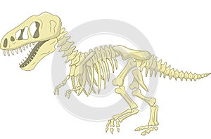 Cartoon Dinosaur skeleton
