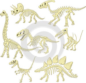 Cartoon dinosaurs skeleton collection set