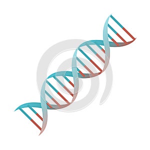 Cartoon DNA spiral genes vector isolated object illustration photo