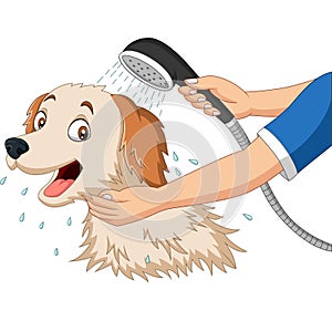 Cartoon dog bathing with shower photo