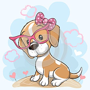 Cartoon Dog Beagle with a bow and glasses on a meadow