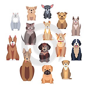 Cartoon Dog Breeds Illustrations Set