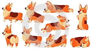 Cartoon dog character. Sleeping corgi dogs poses, pedigree dog fitness sport exercise and relaxing pet yoga pose