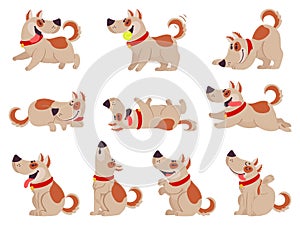 Cartoon dog. Cute dogs in daily routine eating, jumping wiggle and sleeping, running and barking, different poses pet photo
