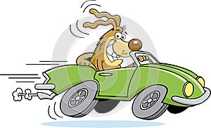 Cartoon dog driving a car