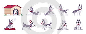 Cartoon dog. Happy flat playful puppy in different poses and doing tricks, cute comic pet with emotions. Vector set of