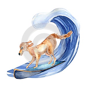 Cartoon dog has surfboarding on wave watercolor illustration isolated on white.