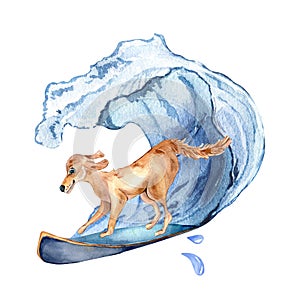 Cartoon dog has surfboarding on wave watercolor illustration isolated on white.