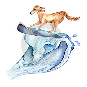 Cartoon dog has surfboarding on wave watercolor illustration isolated on white.