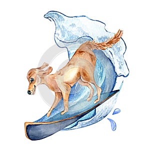 Cartoon dog has surfboarding on wave watercolor illustration isolated on white.