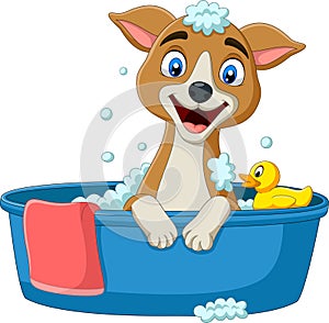 Cartoon dog having a bath