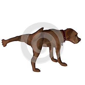 Cartoon Dog - Leg Lift