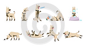 Cartoon dog set. Dogs tricks icons and action training digging dirt eating pet food jumping wiggle sleeping running and