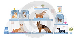 Cartoon dog shelter. Cartoon pet shop or pet rescue center, dogs help adoption shelter, puppy hotel flat vector illustration. Dog