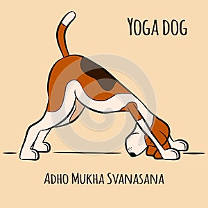 Cartoon dog shows yoga pose Adho Mukha Svanasana