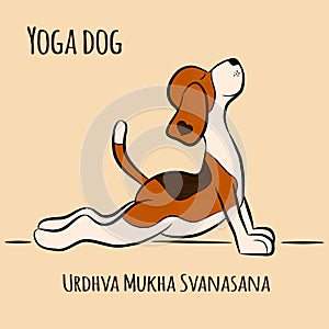 Cartoon dog shows yoga pose Urdhva Mukha Svanasana