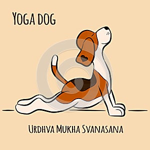 Cartoon dog shows yoga pose Urdhva Mukha Svanasana photo