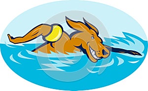 Cartoon dog swimming