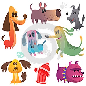 Cartoon dogs set. Bulldog poodle chihuahua dachshund jack russel terrier corgi and doberman. Vector illustration