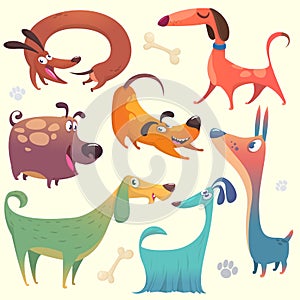 Cartoon dogs set. Vector illustrations of dogs