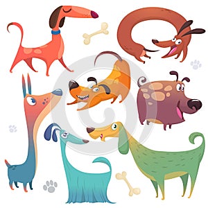 Cartoon dogs set. Vector illustrations of dogs collections. Colorful images of dogs