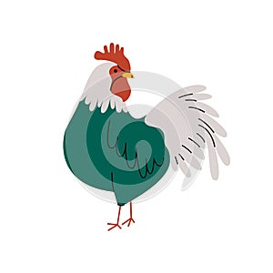 Cartoon domestic rooster. Cute chicken farm animal, poultry character organic food concept. Vector flat illustration