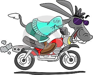 Cartoon donkey driving a  motorbike vector illustration