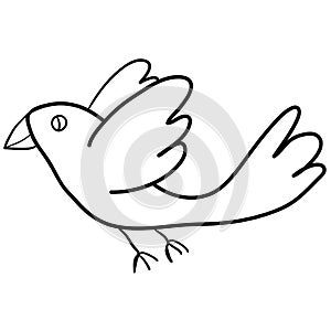 Cartoon doodle flying bird isolated on white background.