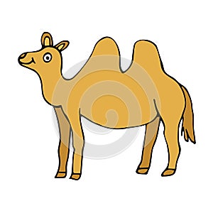 Cartoon doodle happy camel isolated