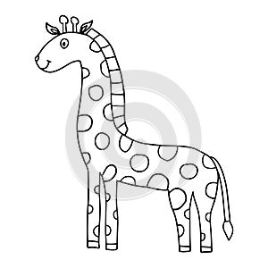 Cartoon doodle linear giraffe isolated on white background.