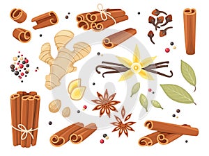 Cartoon dry spices. Cinnamon sticks, allspice peas, cloves and anise stars, fragrant organic seeds, roots, ginger and photo