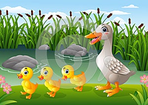 Cartoon duck family