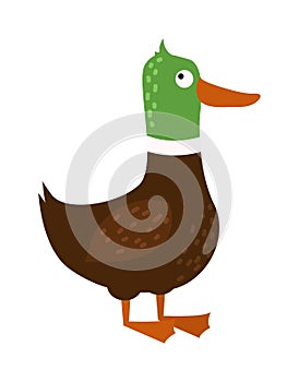Cartoon duck farm animal character vector.
