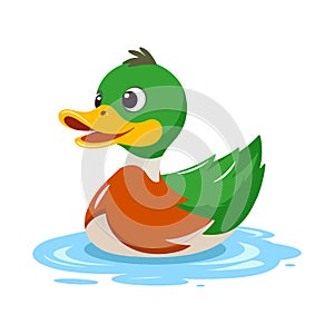 Cartoon duck isolated on white background.