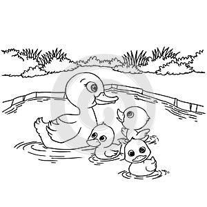 Cartoon duck lake coloring page vector