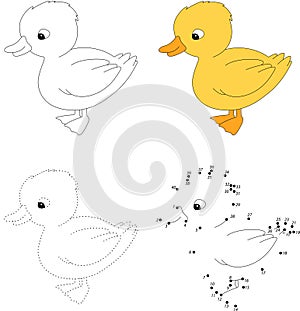 Cartoon duckling. Vector illustration. Dot to dot game for kids