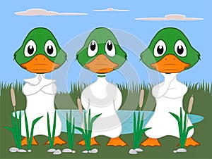 Cartoon of the ducks posing cute