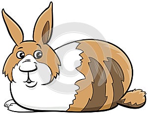 Cartoon dwarf rabbit comic animal character