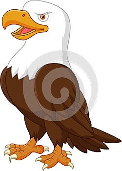 Cartoon eagle posing